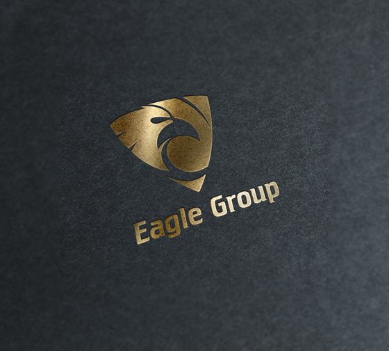 eaglegroup, eagle group, www, network, yazılım, tasarım, bilişim